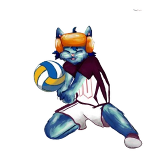 Voli